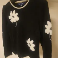 Item thumbnail for item 3898bcd8-2fc0-4d43-b36c-de3d13200baa