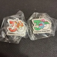 ポケモン 30周年記念 メタルチャームマスコット　ヒトカゲ　フシギバナ