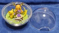 ピカチュウ　ライチュウ　ポケットモンスター　テラリウム　コレクション　リーメント