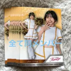 12枚セット Jui-ting ズイティン