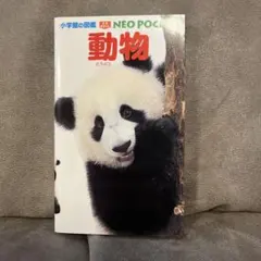 動物