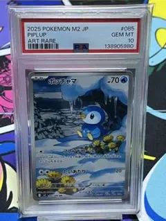 ポッチャマar PSA10