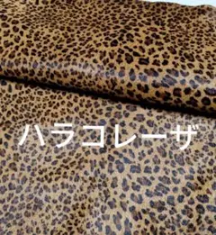 Item thumbnail for item 25a83a12-6c0a-487c-9fb5-6dee8c86ca26