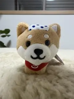 旅するマメしば 温泉バージョン ぬいぐるみ マスコット