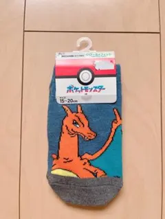 ポケモン 靴下セット リザードン ミライドン15-20cm
