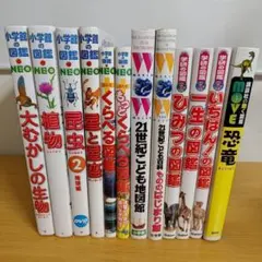 s-1100　図鑑セット　12冊　児童　子供　こども　学習　勉強