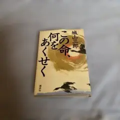 Item thumbnail for item c7068b28-9054-43a5-8d6f-bffa20d84b4a