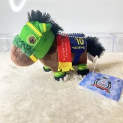 美品 サラブレッドコレクション【ウィルソンテソーロ】