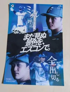 2026年最新】柳川大晟の人気アイテム - メルカリ