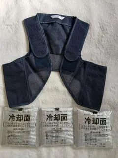 Item thumbnail for item 5d15e0f4-95ee-486a-ba0b-94d1694912b4