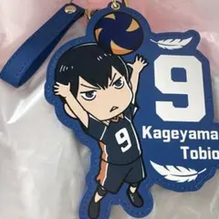 ハイキュー 影山飛雄 アベイル ケース