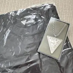 Item thumbnail for item d3c0ace7-8fbf-457e-a559-13e8040890c0