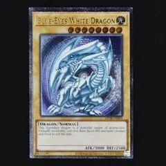 遊戯王 青眼の白龍 英語 レリーフ アルティメットレア OTS28 5つ目