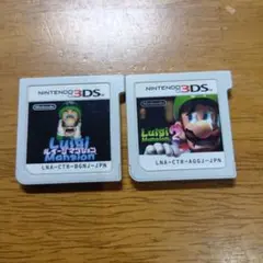 3DS ルイージマンション 初代 2