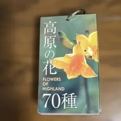 Item thumbnail for item d22ad38e-0adc-4832-97af-7ab6ee4baaee