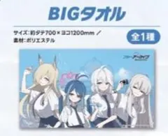 ブルアカ　コトブキヤ　BIGタオル　ヴァルキューレ