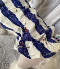 ハンドメイド犬服　ワンピース　Mサイズ　バルーン　犬服