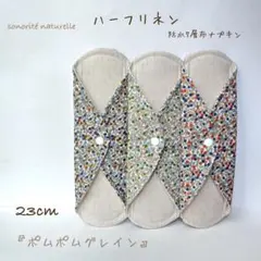 Item thumbnail for item 9e9c28d4-127a-457f-b8f1-86668a5c4f07