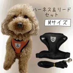 ハーネス リードセット Mサイズ  ブラック 黒 犬用 リード お散歩 小型犬