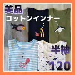 美品】海の生き物 半袖Tシャツ 肌着120 インナー下着 キッズ男の子5枚まとめ