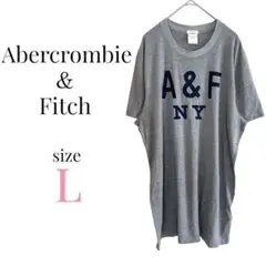 アバクロンビーアンドフィッチ【L】半袖チュニック プリントTシャツ 薄手 グレー