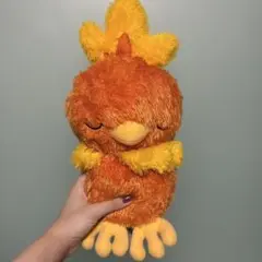 ポケットモンスター　もふぐっと　くつろぎタイムぬいぐるみ　アチャモ