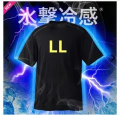 Item thumbnail for item 255afbbb-f11a-4b6b-b2c2-50cb949c2d81