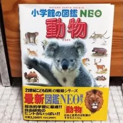 kami様 リクエスト 2点 まとめ商品