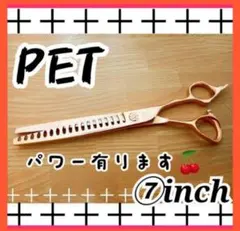 Item thumbnail for item aeeb7d28-cb16-445d-a68c-7541d5ab73e7