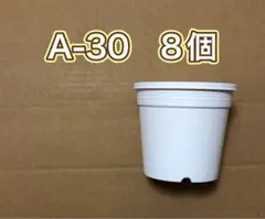 《A-30》白 8個 プラ鉢 3号相当 スリット鉢 多肉植物のサムネイル