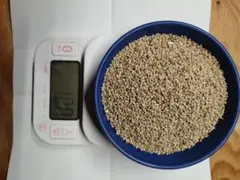 Reiwa 7에서 생산되는 뿌리혹 선충을 줄이기 위한 기장, 500g, 재배 설명서 첨부