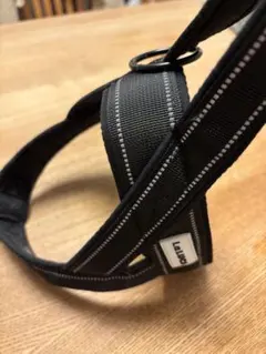 Item thumbnail for item e1b1528d-5344-4852-8cf1-5110cdc60d00