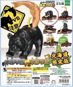 Item thumbnail for item a1598e40-2ffe-488e-bbb2-b6c62787822e