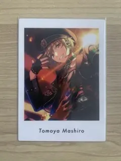 あんスタ 真白友也 ぱしゃっつ SHUFFLE × 未知の聖夜とナイトヘッド！