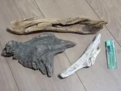 天然流木　3本セット