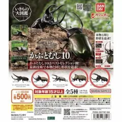 S*a様 いきもの大図鑑 かぶとむし10 3種