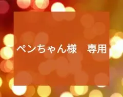 専用　手描きリクエストイラスト