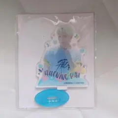 ヒュニンカイ　アクスタ