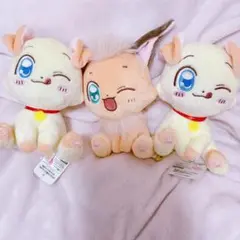 ぷくぷく天然かいらんばん　おすわりぬいぐるみ　3個セット