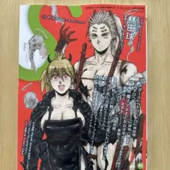 ⭐️最新号⭐️ 季刊エス　95 10月号