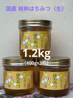 国産 純粋はちみつ 自然の恵み 1.2kg　（400g 3個セット）のサムネイル
