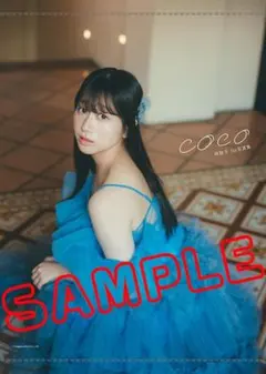 直筆サイン】林鼓子写真集 coco インフォスクエア限定 タペストリー