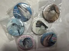 名古屋港水族館 缶バッジ 6種セットのサムネイル