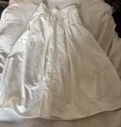 Item thumbnail for item 77d5306e-0890-4fa6-b14d-9881a195925a