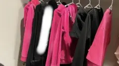 ⚠️相談決め値⚠️Rady8点まとめ売りセット　※複数購入可能　※デザイン他の投稿