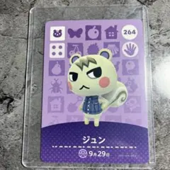 【匿名発送】amiiboカード ジュン