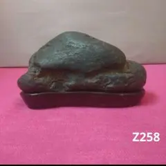 銘 初秋夕月 卵型 水石 木製台座付き 鑑賞石 天然石 盆石 盆栽 添景