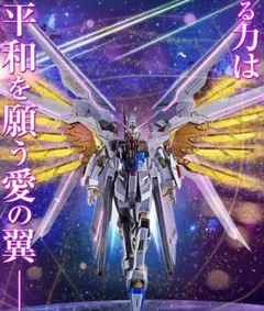 2026年最新】METAL robot魂 ストライクフリーダム 弐式の人気アイテム