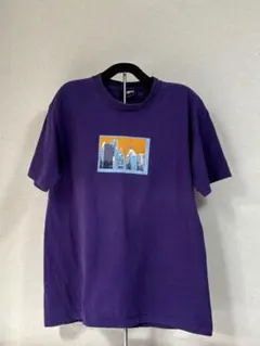 STUSSY Tシャツ USA製 シングルステッチ ヴィンテージ ニューヨーク