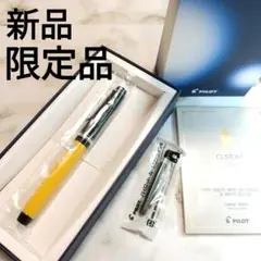新品未使用】セーラー万年筆 ヴェイリオオレンジ 21金 EF(極細字